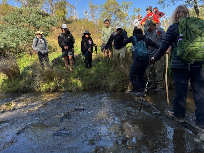 Plenty Gorge, VIC