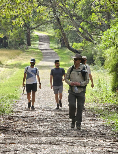Somewhere in Dandenong Ranges