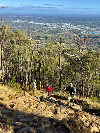 Scar Track, Mount Dandenong, VIC