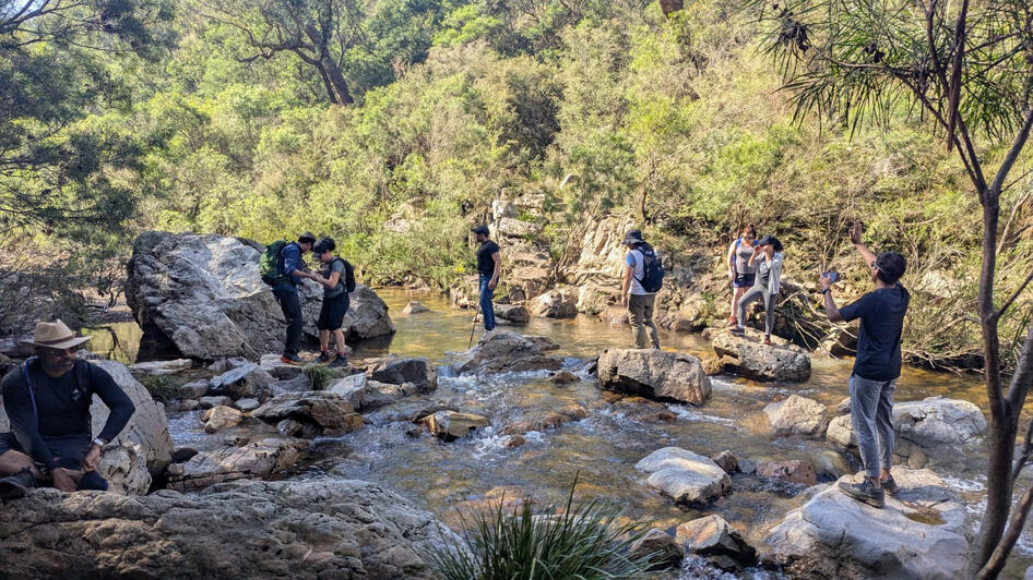 Hiking trail in Briagolong, East Gippsland, VIC